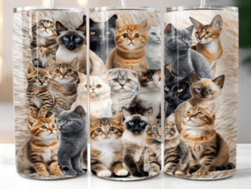 Cats and Kittens 20 oz Skinny Tumbler Cup With Straw