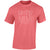 Southernology Botanical Mimi Comfort Colors T-Shirt