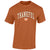Southernology Thankful Pumpkin Fall Comfort Colors T-Shirt