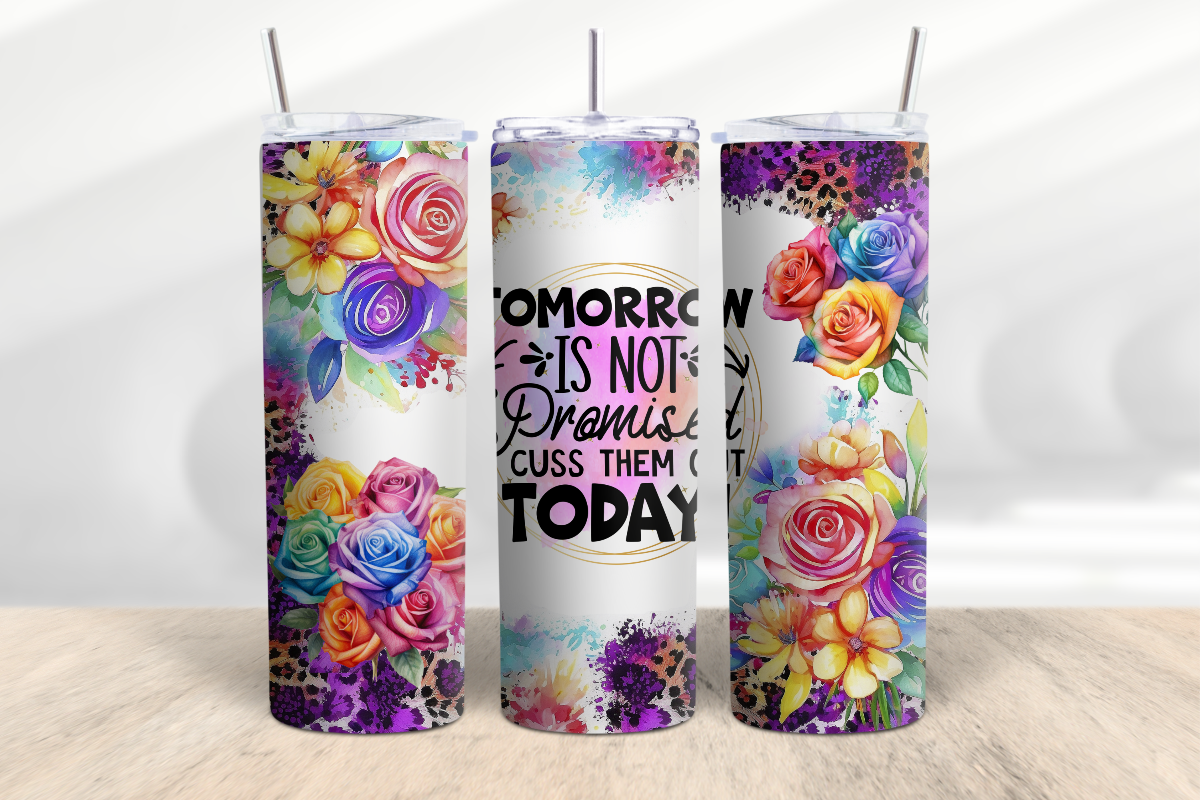 Tomorrow is Not Promised Cuss Them Out Today 20 oz Skinny Tumbler Cup With Straw