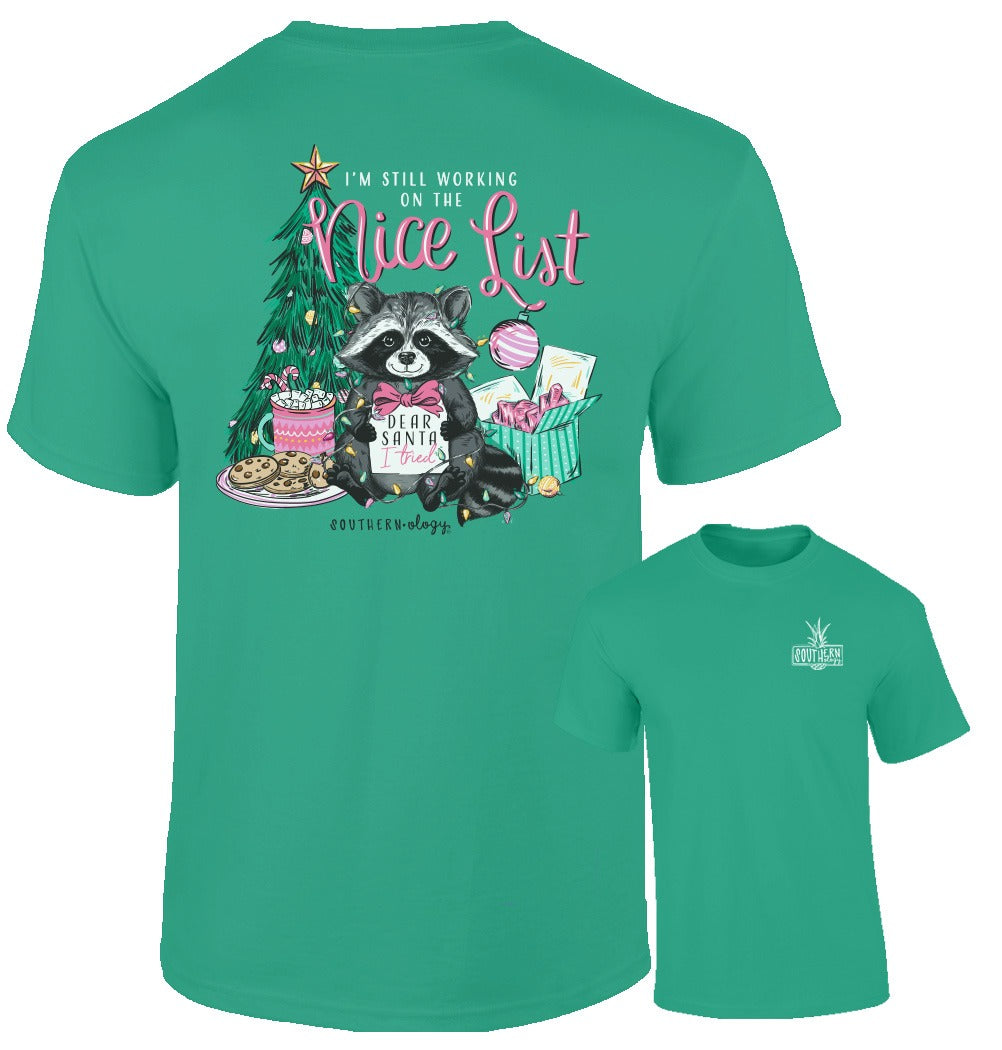 Southernology Nice List Raccoon Holiday Comfort Colors T-Shirt