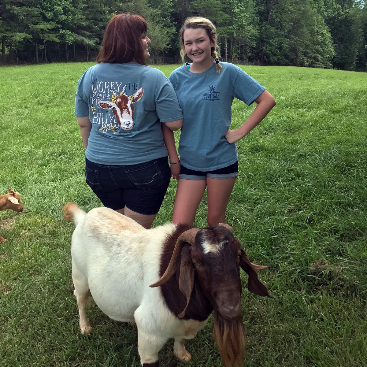 Southernology Worry the Horns off a Billy Goat Comfort Colors T-Shirt