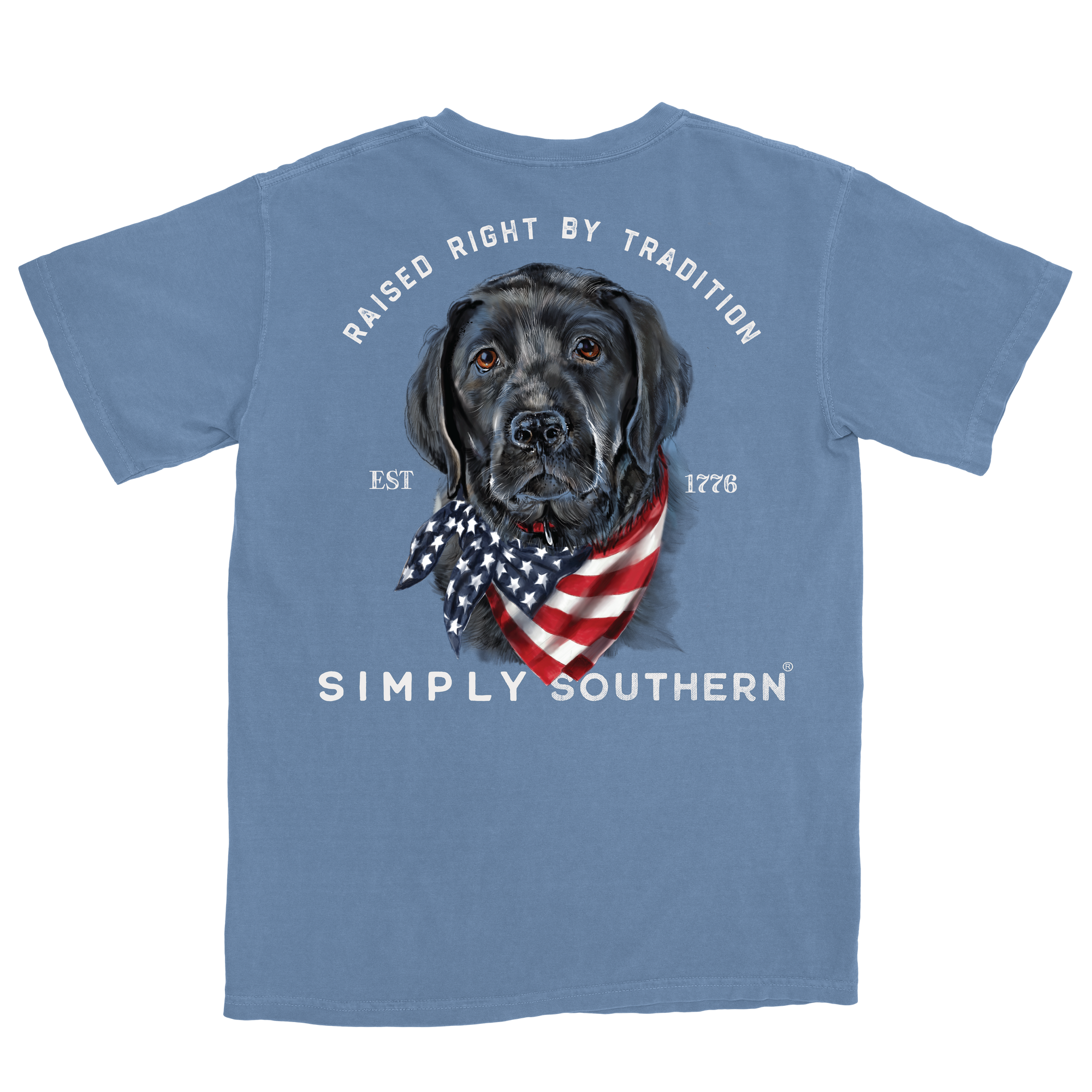 SALE Simply Southern Raised Right Dog Unisex Comfort Colors T-Shirt