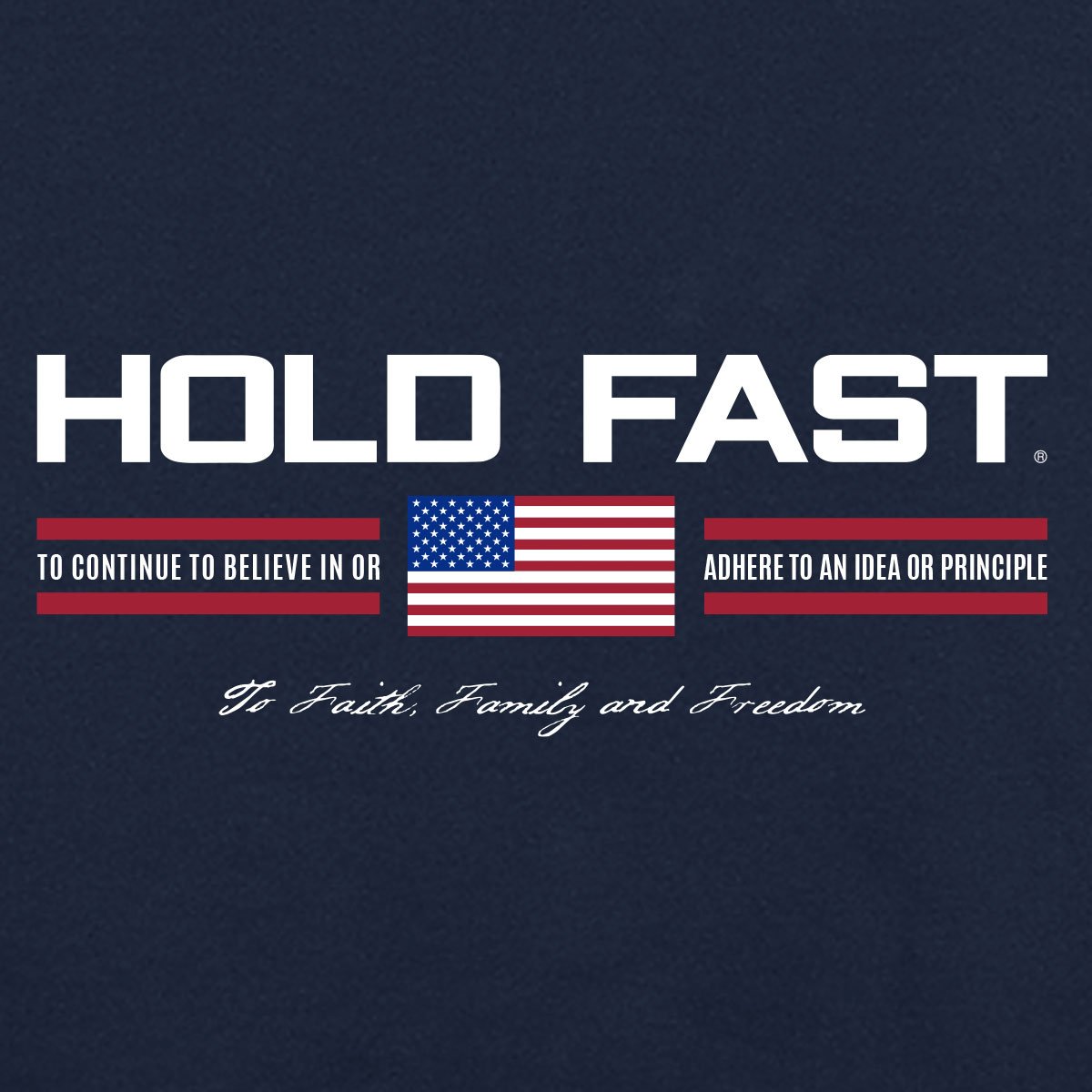 Hold Fast Freedom USA Iconic Unisex Hoodie Sweatshirt