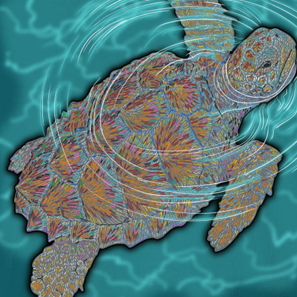 I Fought Today Sea Turtle Cancer Ribbons T-Shirt