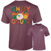 Southernology Oh My Gourd Pumpkins Comfort Colors T-Shirt